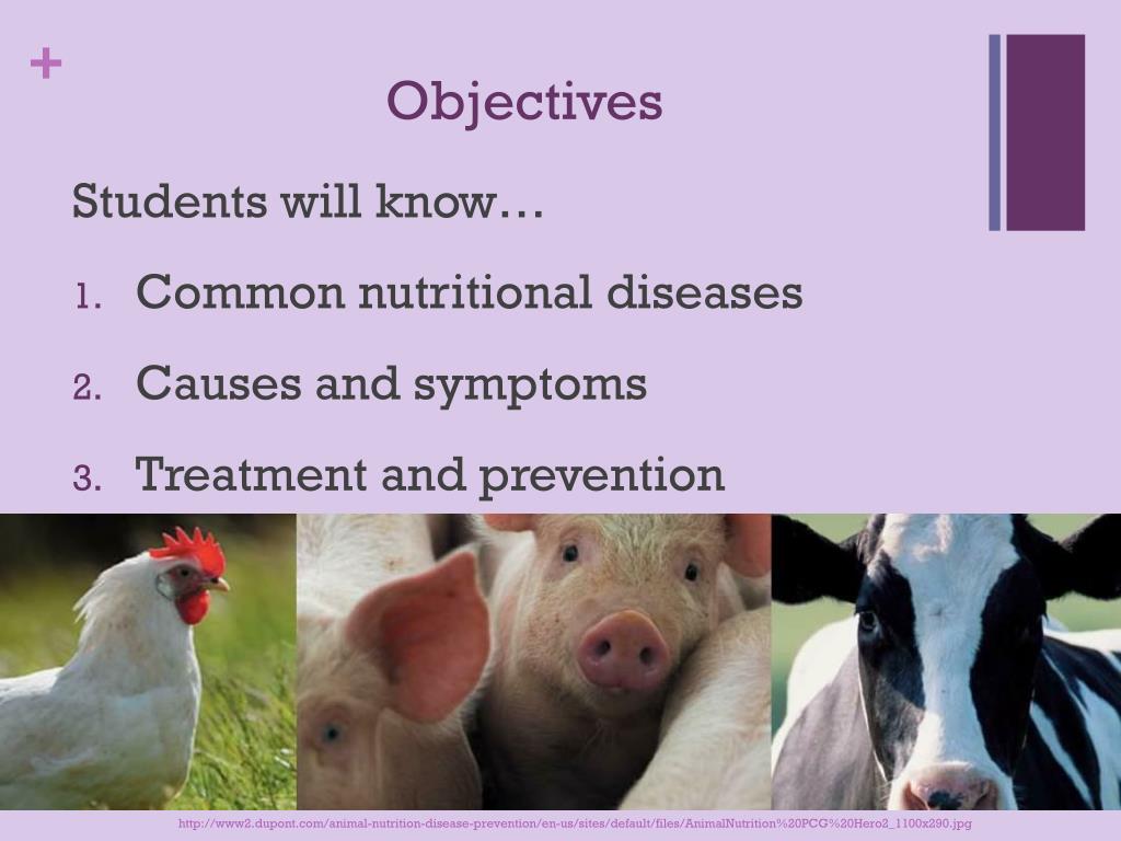PPT Nutritional Diseases in Livestock PowerPoint Presentation, free download ID3124720