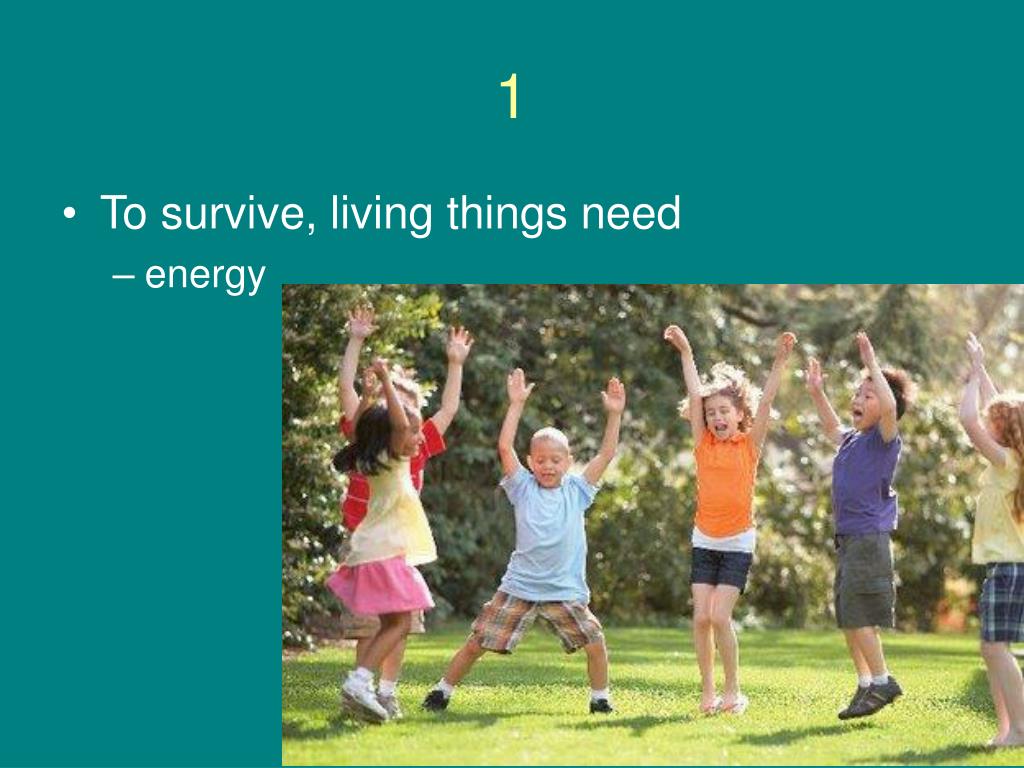 PPT Environmental Science Section 12 Living Things Need Energy