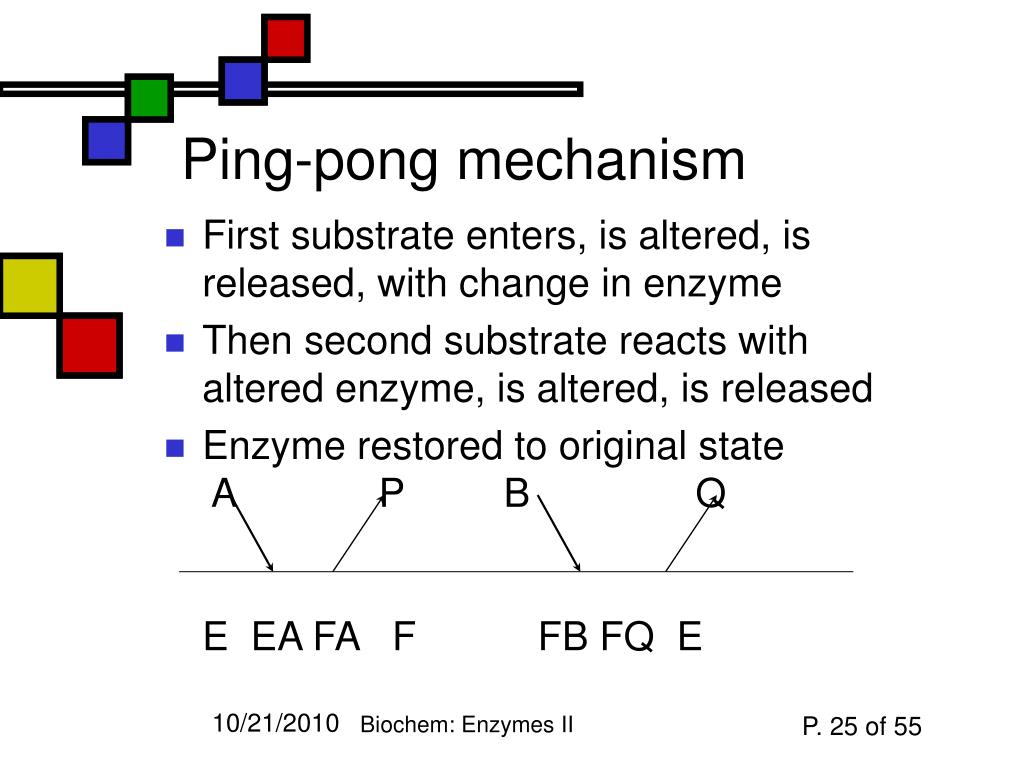 PPT Enzymes II PowerPoint Presentation, free download ID3126462