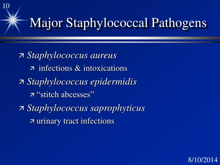 PPT Staphylococcus PowerPoint Presentation ID3126904