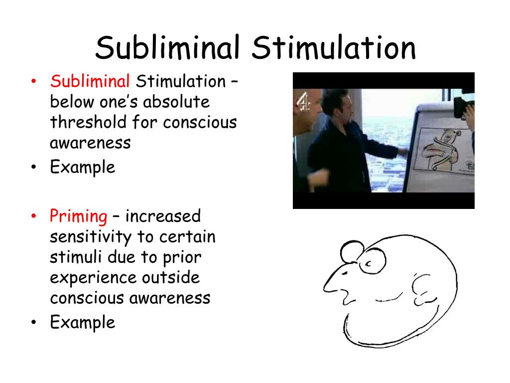 PPT Sensation and Perception PowerPoint Presentation, free download