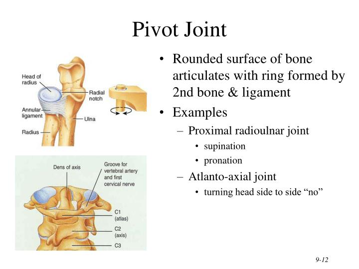 PPT Chapter 9 Joints PowerPoint Presentation ID3130113
