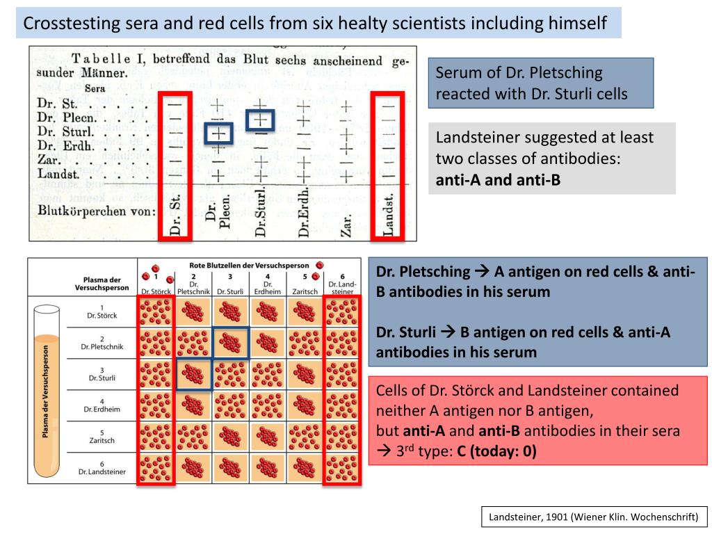PPT Karl Landsteiner and the Discovery of Blood Groups PowerPoint