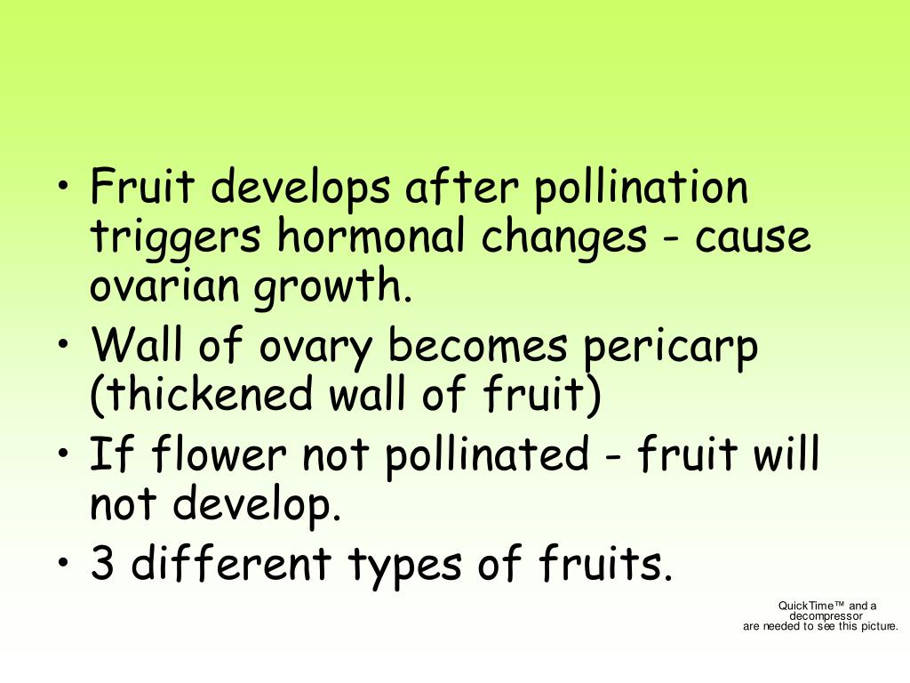 PPT Plant Reproduction and Plant Diversity II PowerPoint Presentation