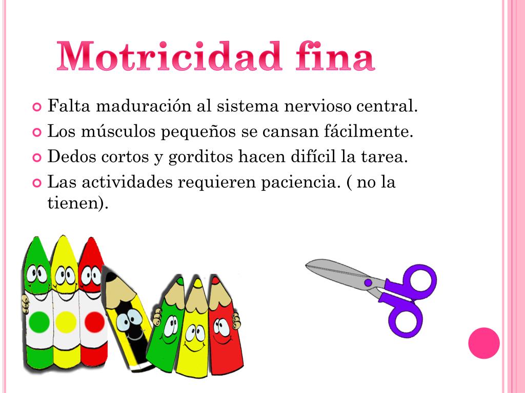 PPT Motricidad fina y gruesa PowerPoint Presentation, free download