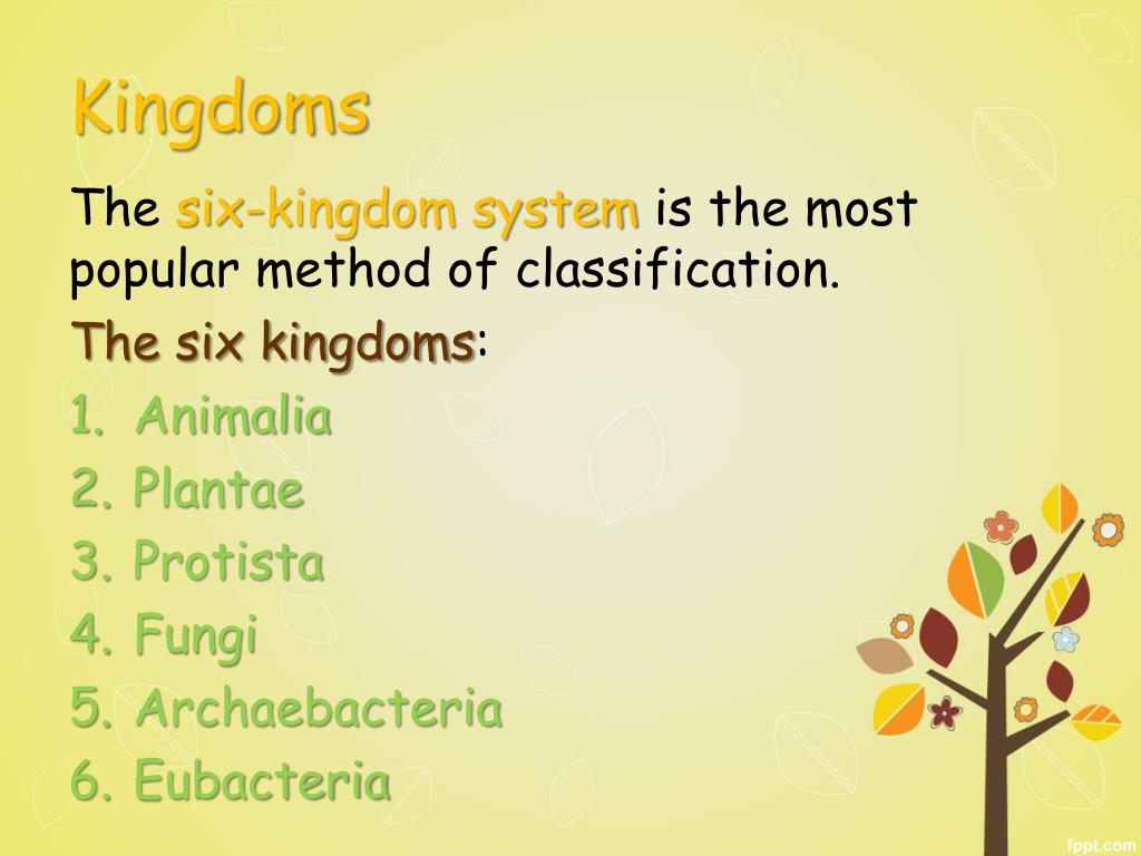 PPT Taxonomy PowerPoint Presentation, free download ID3140943