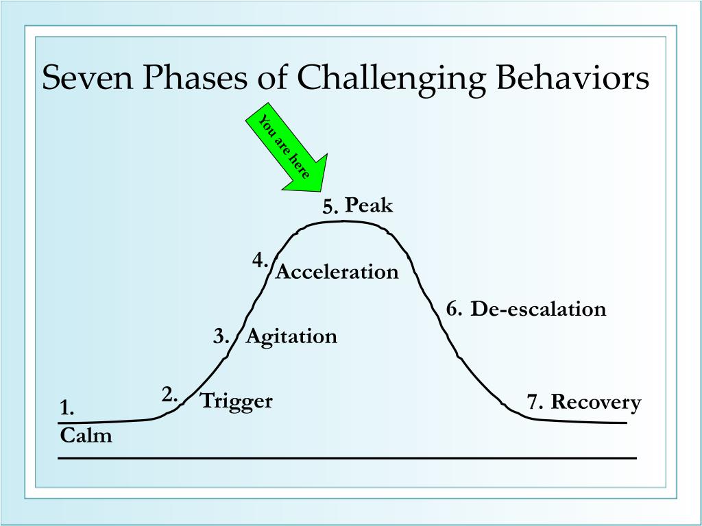 PPT What Should I Do When I Am Working with Students Who Have