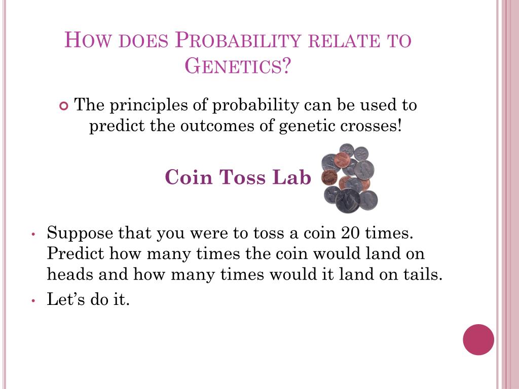 PPT Probability & Squares PowerPoint Presentation, free