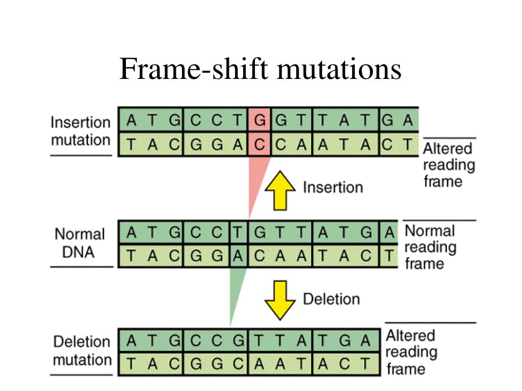 PPT Microbial PowerPoint Presentation, free download ID