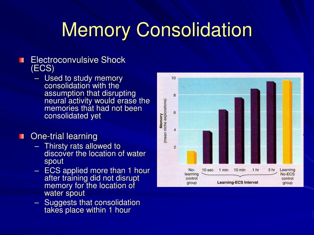 PPT Learning and Memory PowerPoint Presentation, free download ID