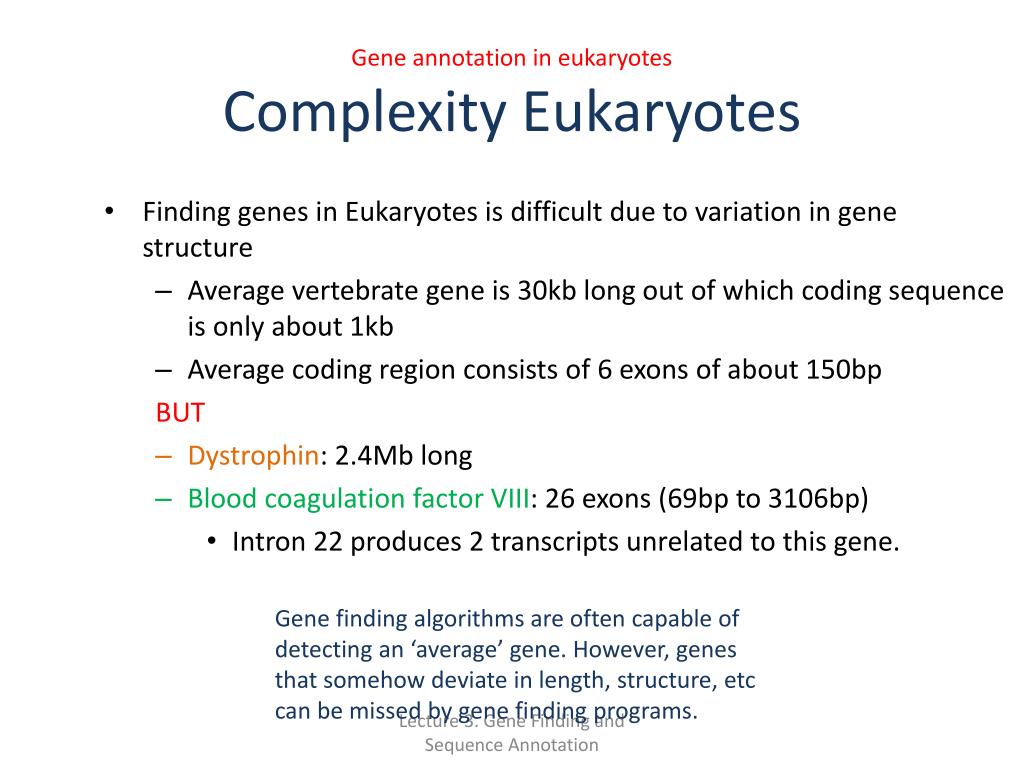 PPT Gene Finding and Sequence Annotation PowerPoint Presentation