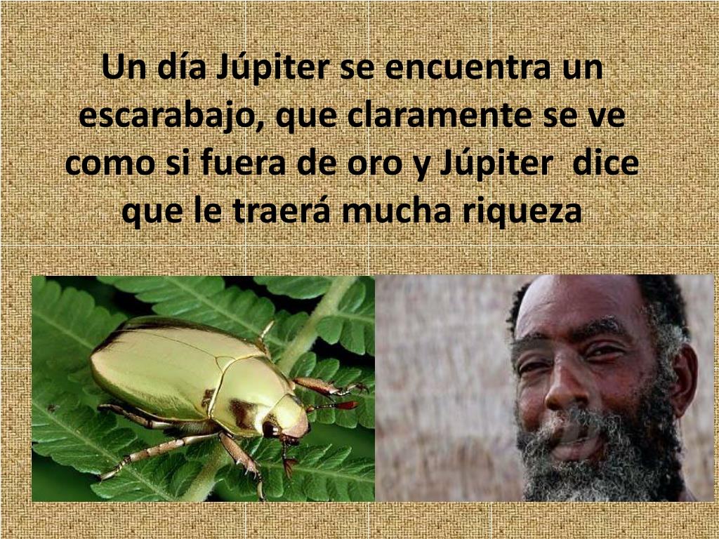 PPT EL ESCARABAJO DE ORO PowerPoint Presentation, free download ID