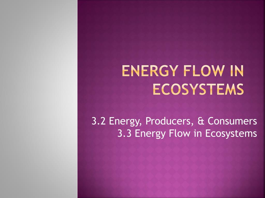PPT Energy Flow in Ecosystems PowerPoint Presentation, free download