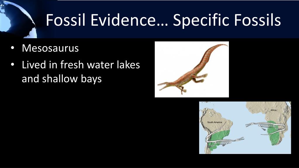 PPT Chapter 9 Plate Tectonics PowerPoint Presentation, free download
