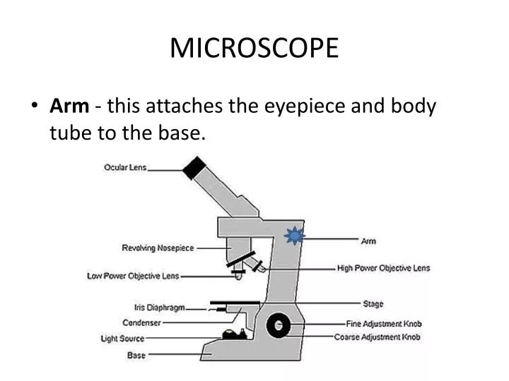Ocular Tube Microscope Micropedia