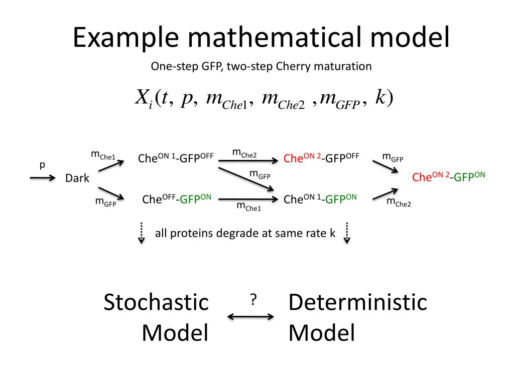 PPT Mathematical modeling of protein aging and turnover in live yeast
