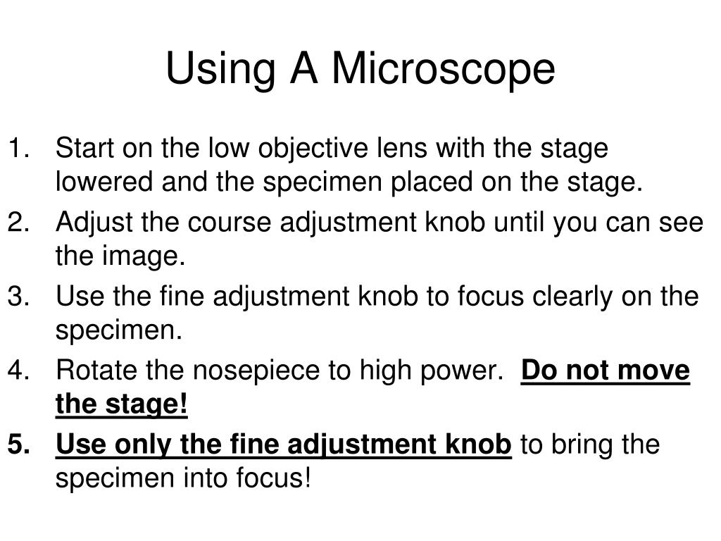 PPT Using a Microscope PowerPoint Presentation, free download ID