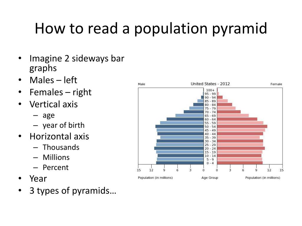 PPT Population Pyramids PowerPoint Presentation, free download ID