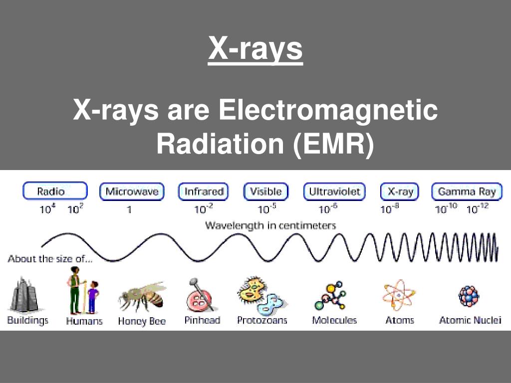 PPT Radiation Safety for the Use of NonMedical XRay Training PowerPoint Presentation ID
