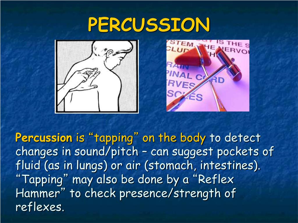 PPT The History of Anatomy PowerPoint Presentation, free download