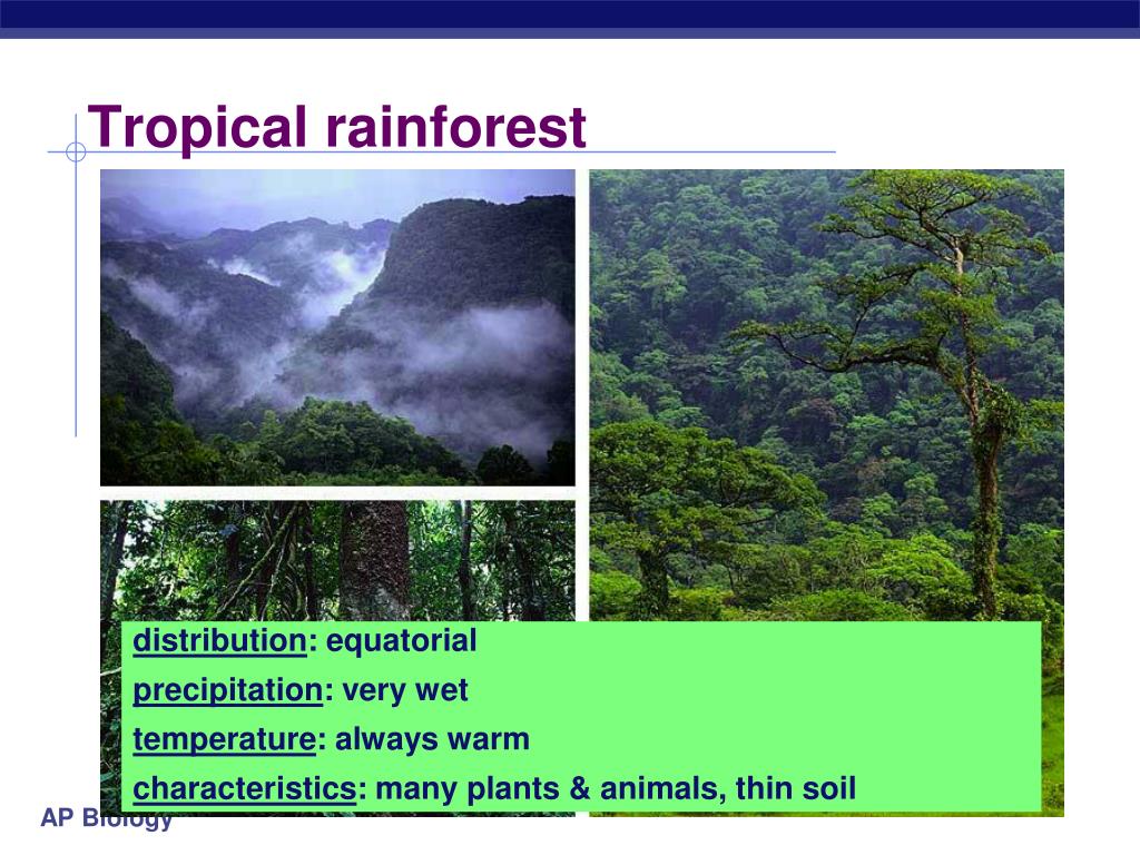 PPT Earth’s biomes PowerPoint Presentation, free download ID3196991