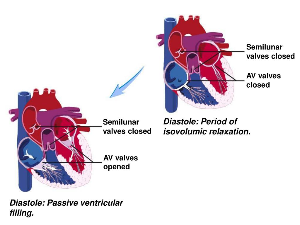 PPT Heart as a Pump PowerPoint Presentation, free download ID3197147