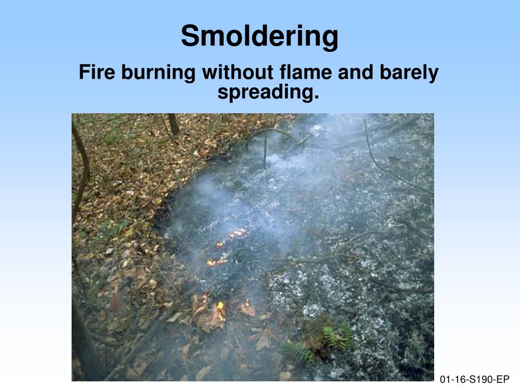 PPT Unit 1 Basic Concepts of Wildland Fire PowerPoint Presentation ID3199868