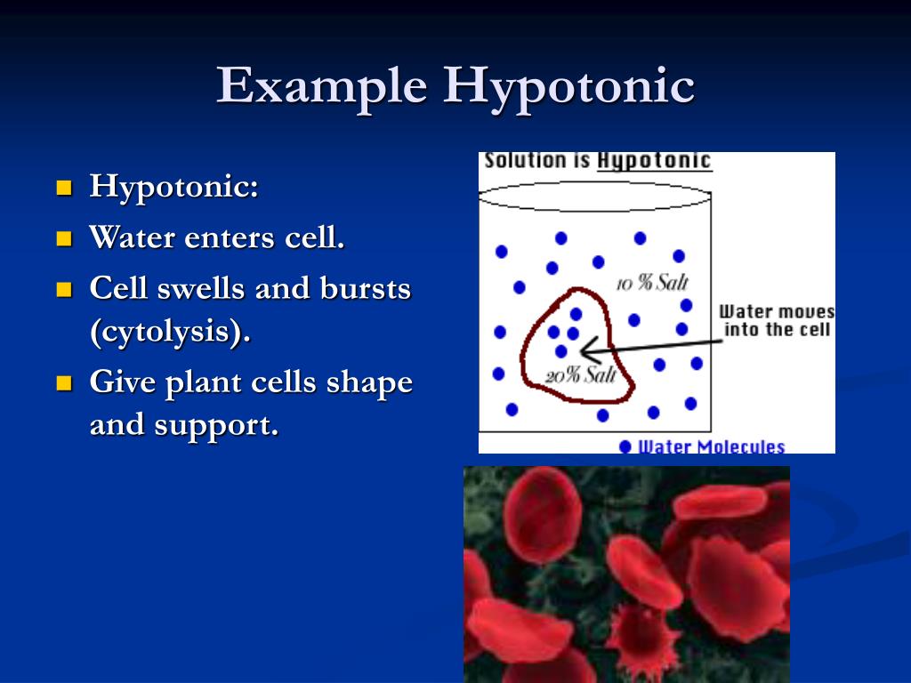 PPT Osmosis, Diffusion, Active Transport PowerPoint Presentation