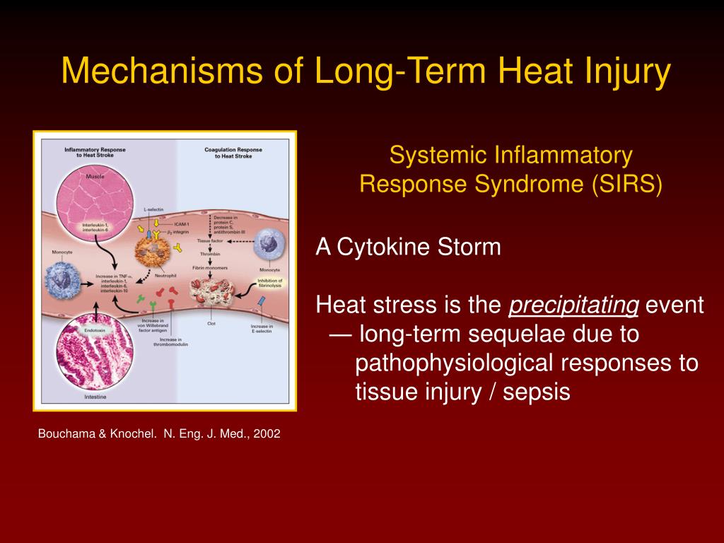PPT HEAT STROKE BIOMARKERS OF LONG TERM INJURY AND RECOVERY
