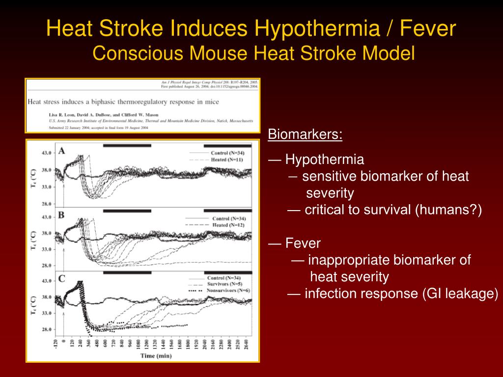 PPT HEAT STROKE BIOMARKERS OF LONG TERM INJURY AND RECOVERY