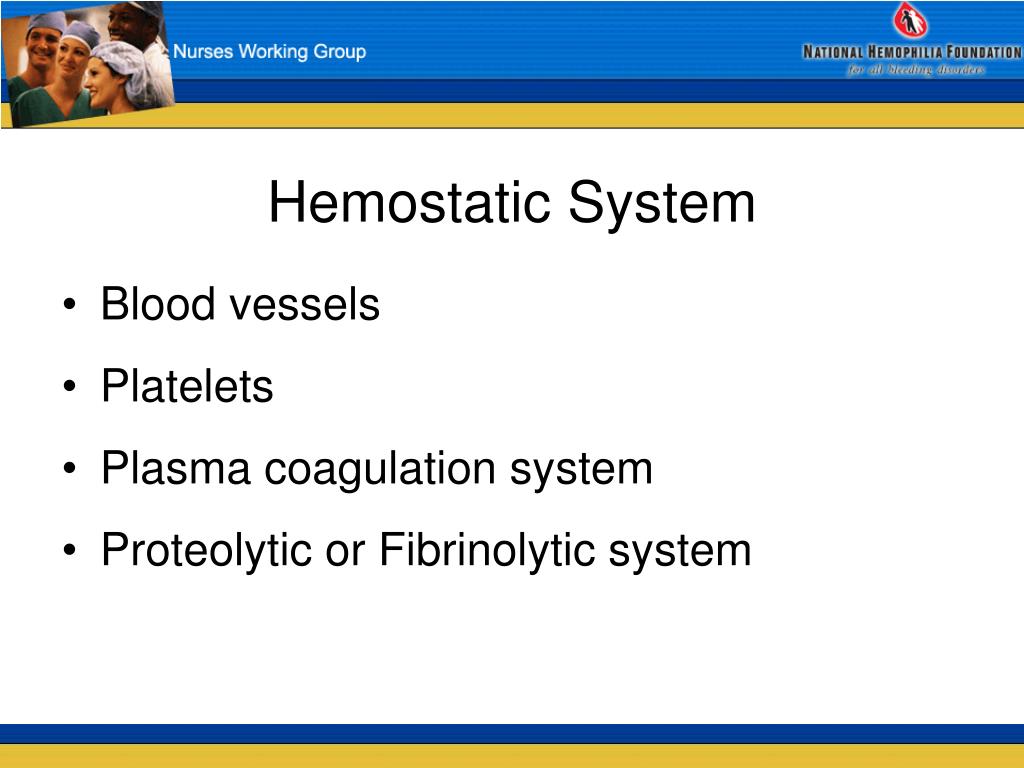 PPT The Basics of Hemophilia PowerPoint Presentation, free download