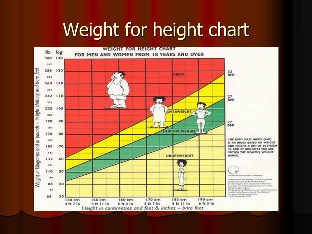 PPT Obesity & Related Surgical Procedures PowerPoint