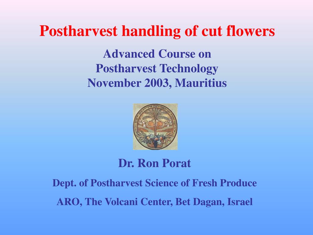 PPT Postharvest handling of cut flowers Advanced Course on