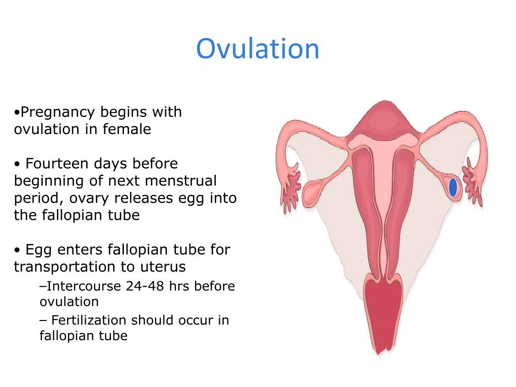 PPT Obstetrical Emergencies PowerPoint Presentation, free download
