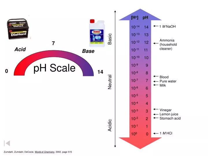 PPT pH Scale PowerPoint Presentation ID3209374