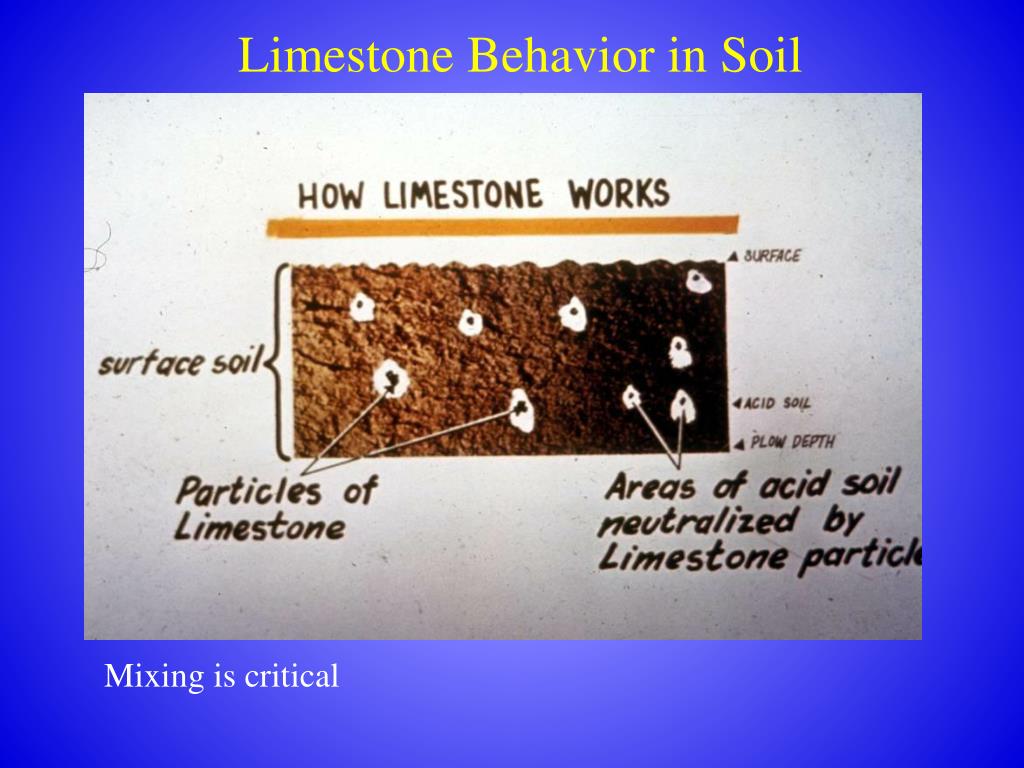 PPT Soil pH PowerPoint Presentation, free download ID3210293