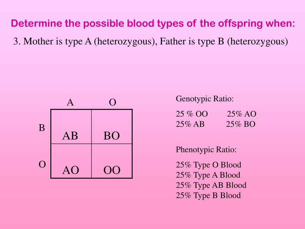 The Father Is Type A Heterozygous The Mother Is Type B Heterozygous
