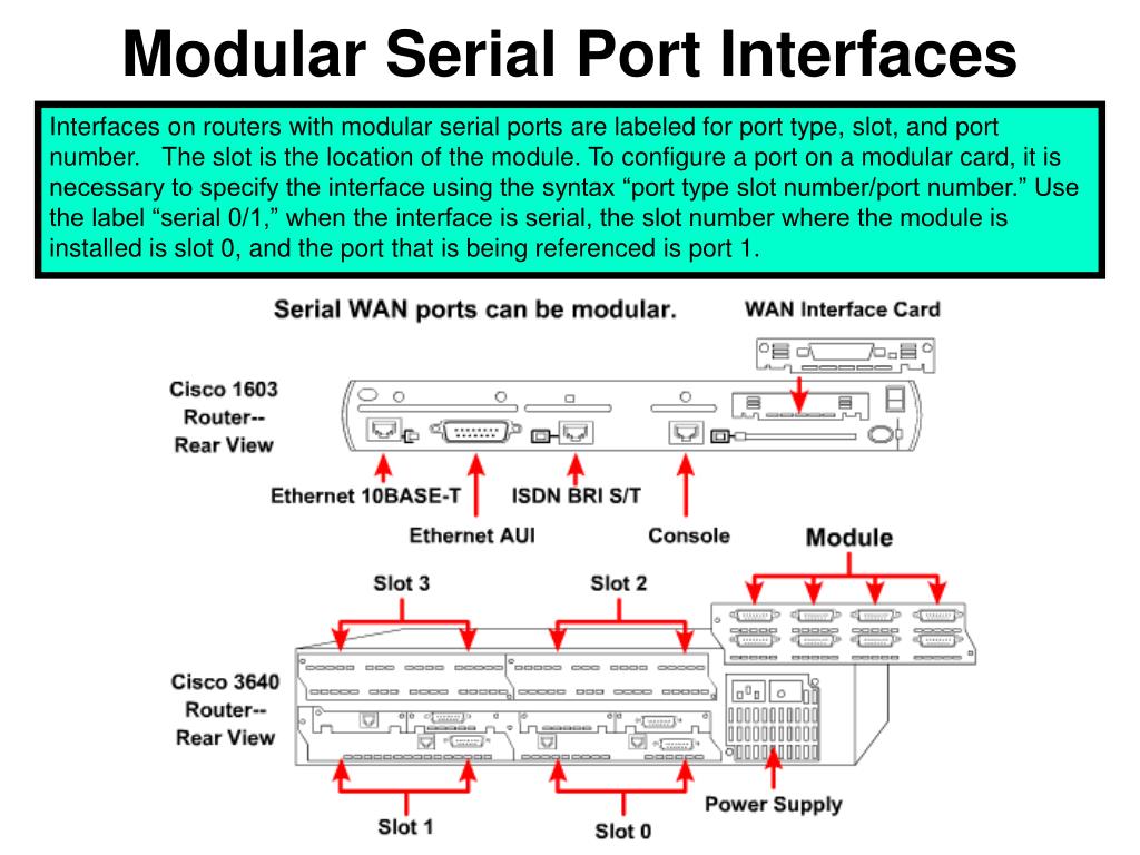 PPT Chapter 5 Slides PowerPoint Presentation, free download ID3211362