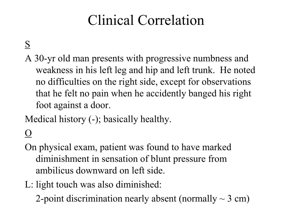 PPT The Somatic Sensory System PowerPoint Presentation, free download