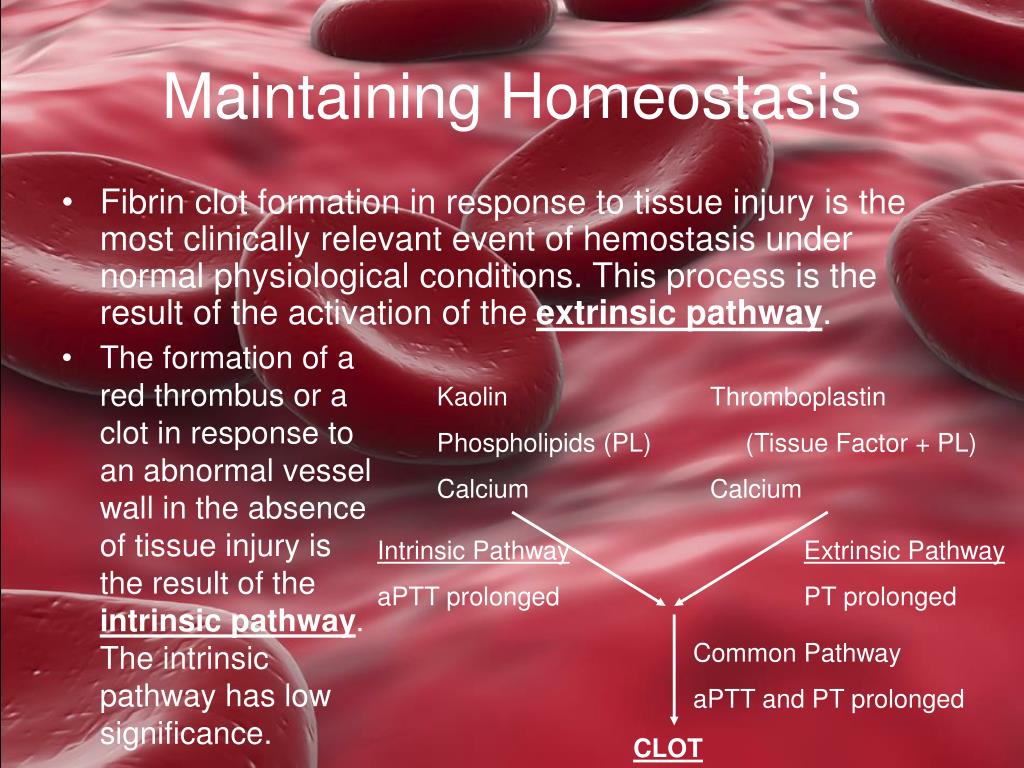PPT Blood Clotting PowerPoint Presentation, free download ID3212311