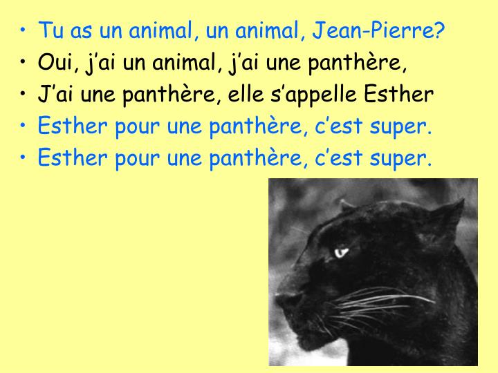 PPT Chanson Chanterelles ‘Tu as un animal? PowerPoint Presentation