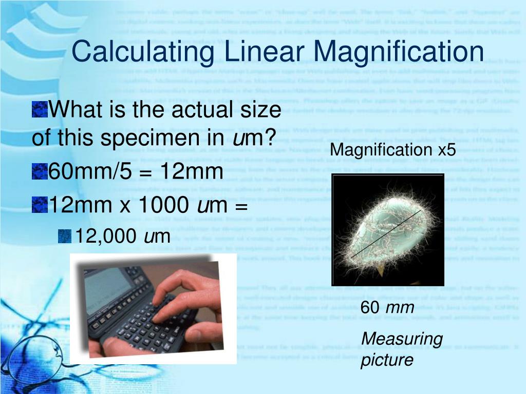 PPT Microscopes and Cells PowerPoint Presentation, free download ID