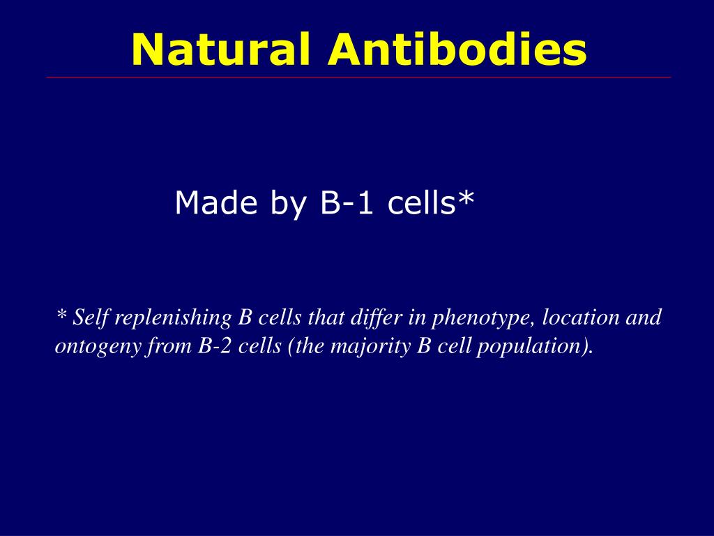 PPT Natural Antibodies PowerPoint Presentation, free download ID