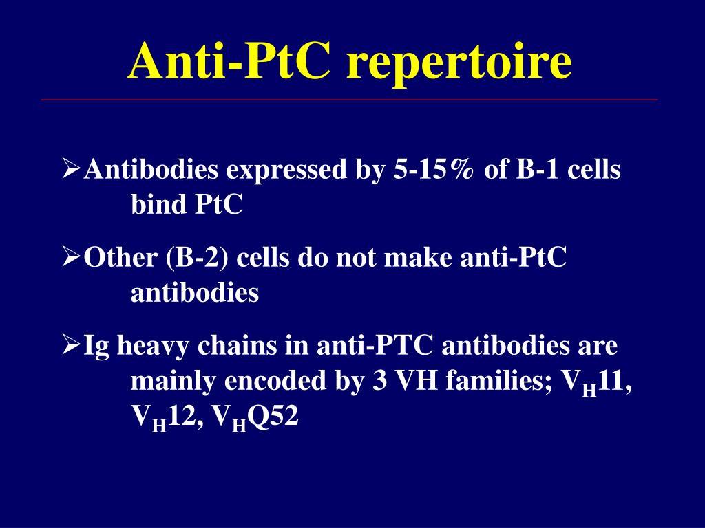 PPT Natural Antibodies PowerPoint Presentation, free download ID