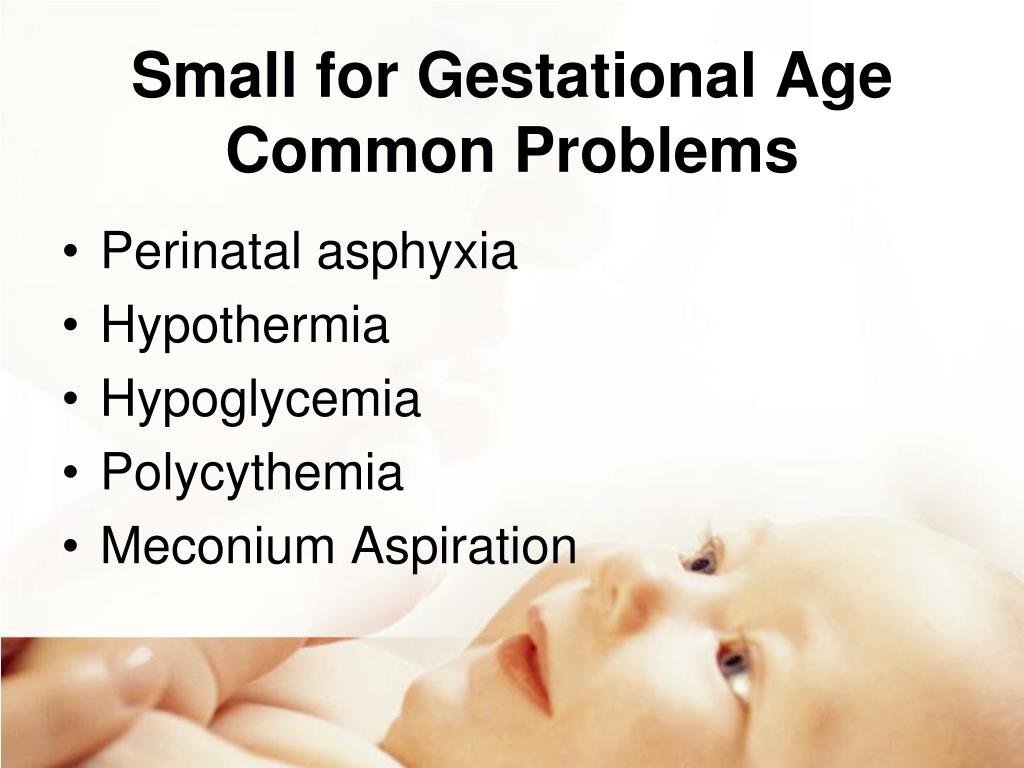 PPT High Risk Newborn PowerPoint Presentation, free