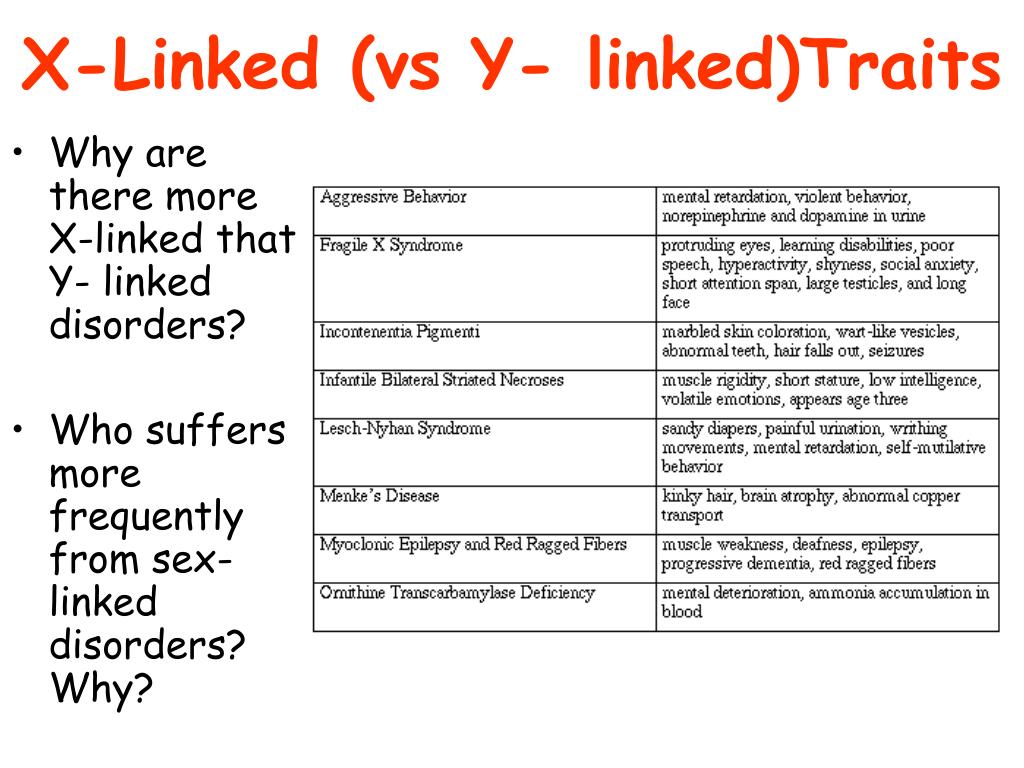 PPT Gene PowerPoint Presentation, free download ID3215409