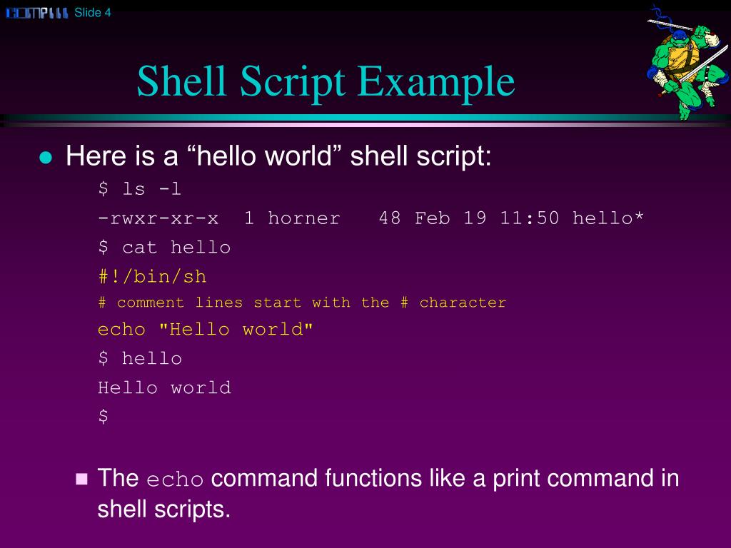 PPT Shell Programming PowerPoint Presentation, free download ID3216804