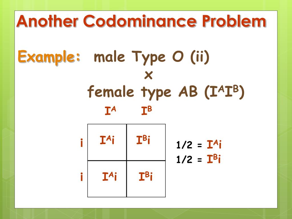 PPT Dihybrid Squares PowerPoint Presentation, free download