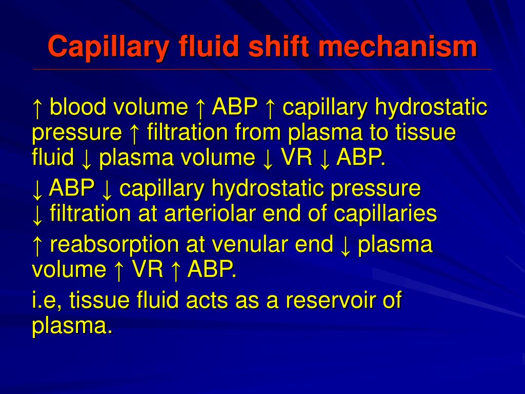 PPT Cardiovascular System PowerPoint Presentation, free download ID