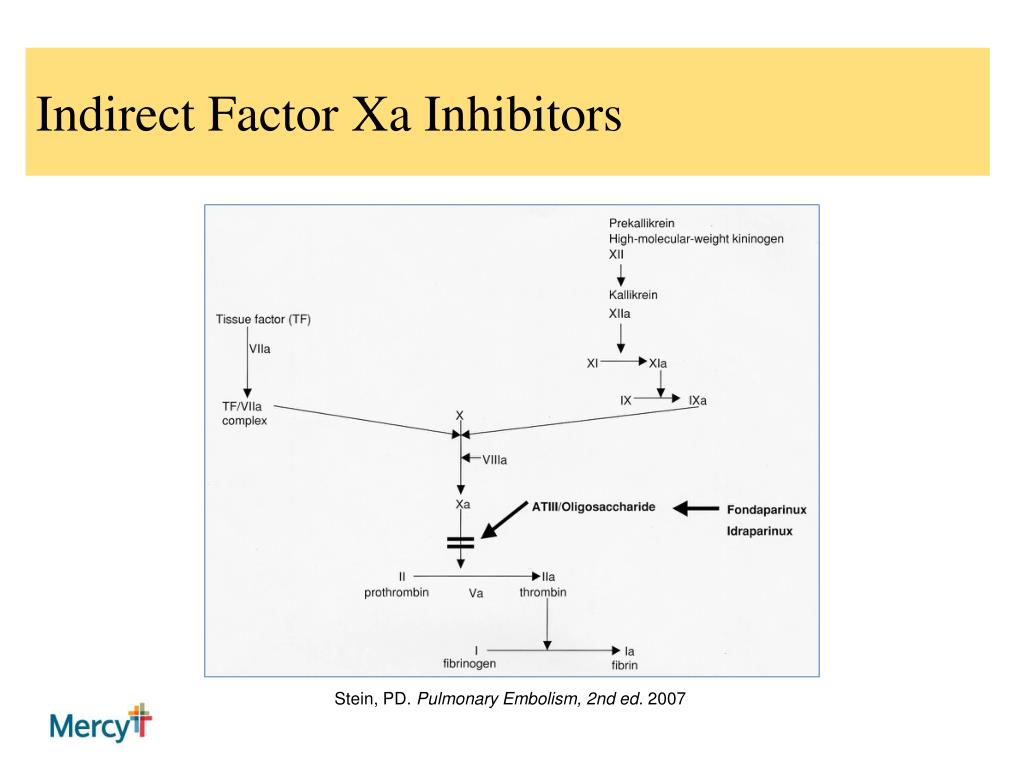 PPT The New Oral Anticoagulants Rivaroxaban, Dabigatran and Apixaban